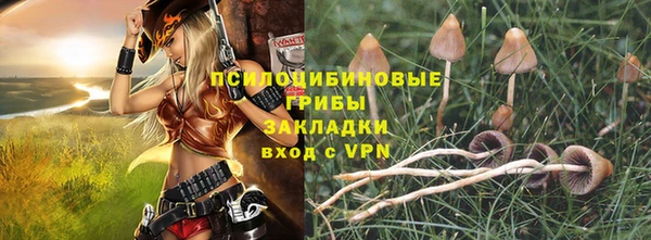 гидра Кукмор