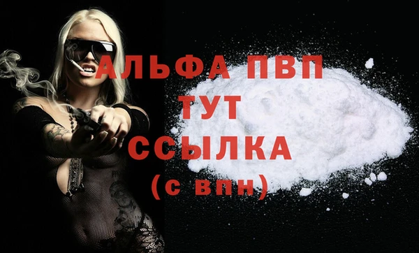СК Куйбышев