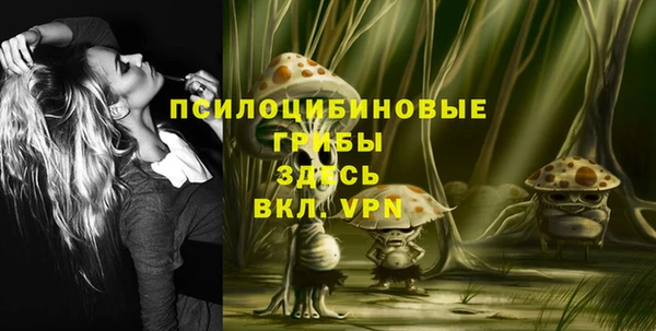 гидра Кукмор