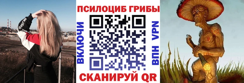 кракен ссылки  Чита  Галлюциногенные грибы Magic Shrooms 